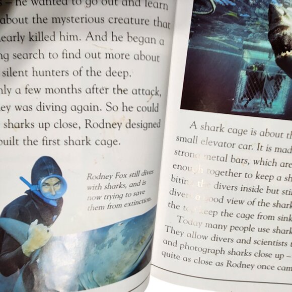 Level 3 & 4 Readers - Picture 4 of 4